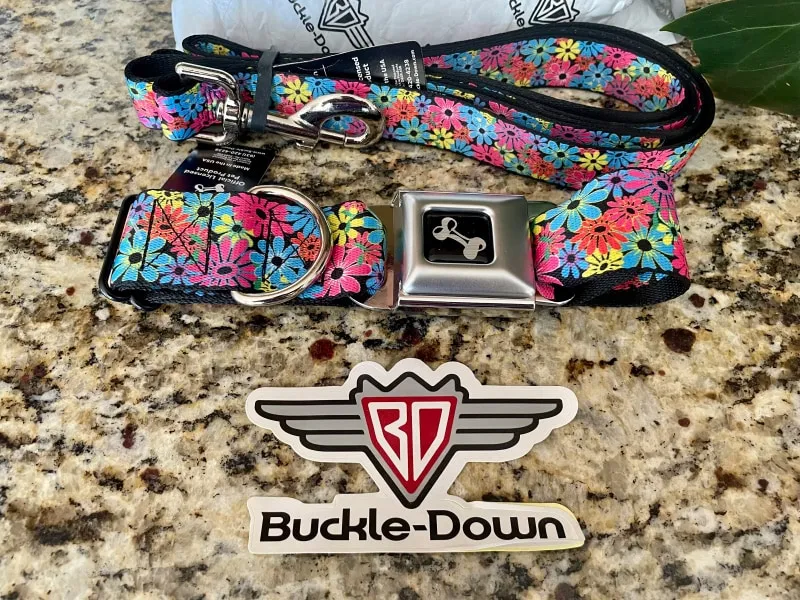 buckle-down contents