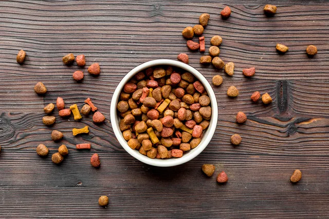 What Is Blood Meal in Dog Food? Vet-Verified Facts & FAQ