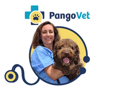 PangoVet