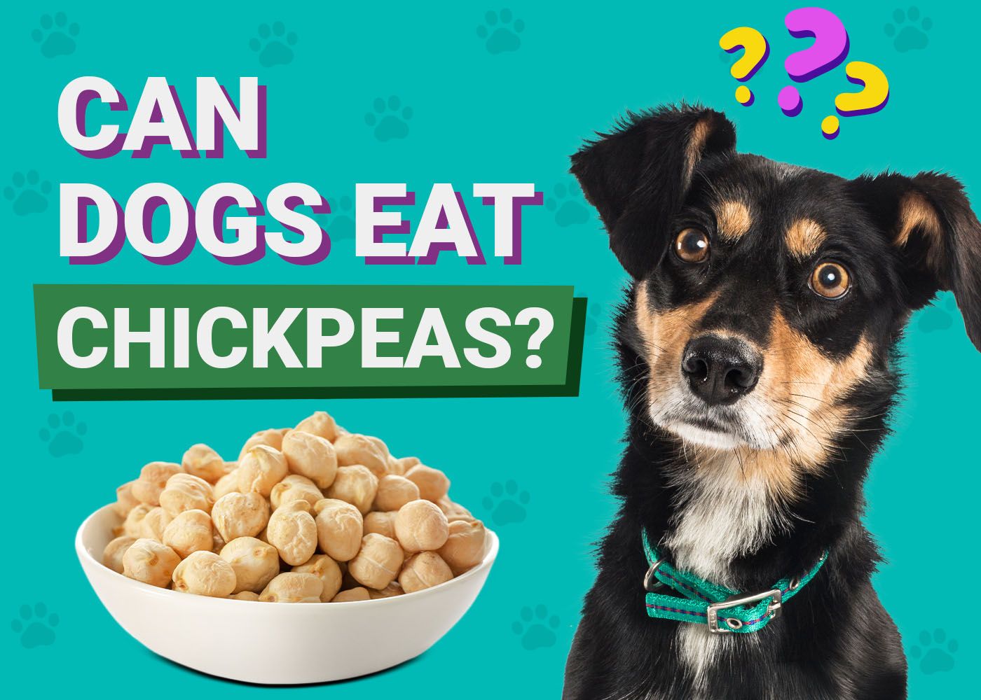 Can Dogs Eat Chickpeas