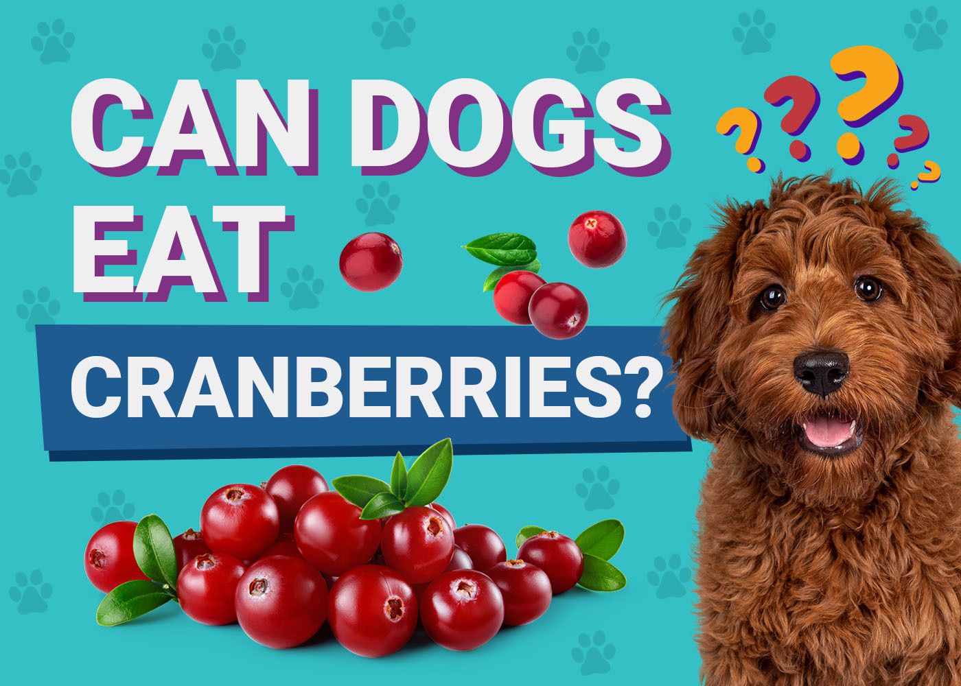 Can Dogs Eat Cranberries