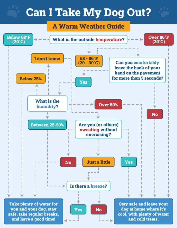 Custom_Dogster_Safe Temperature Decision Tree Infographic