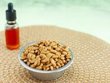 4 Best CBD Dog Treats in 2026 - Reviews & Top Picks