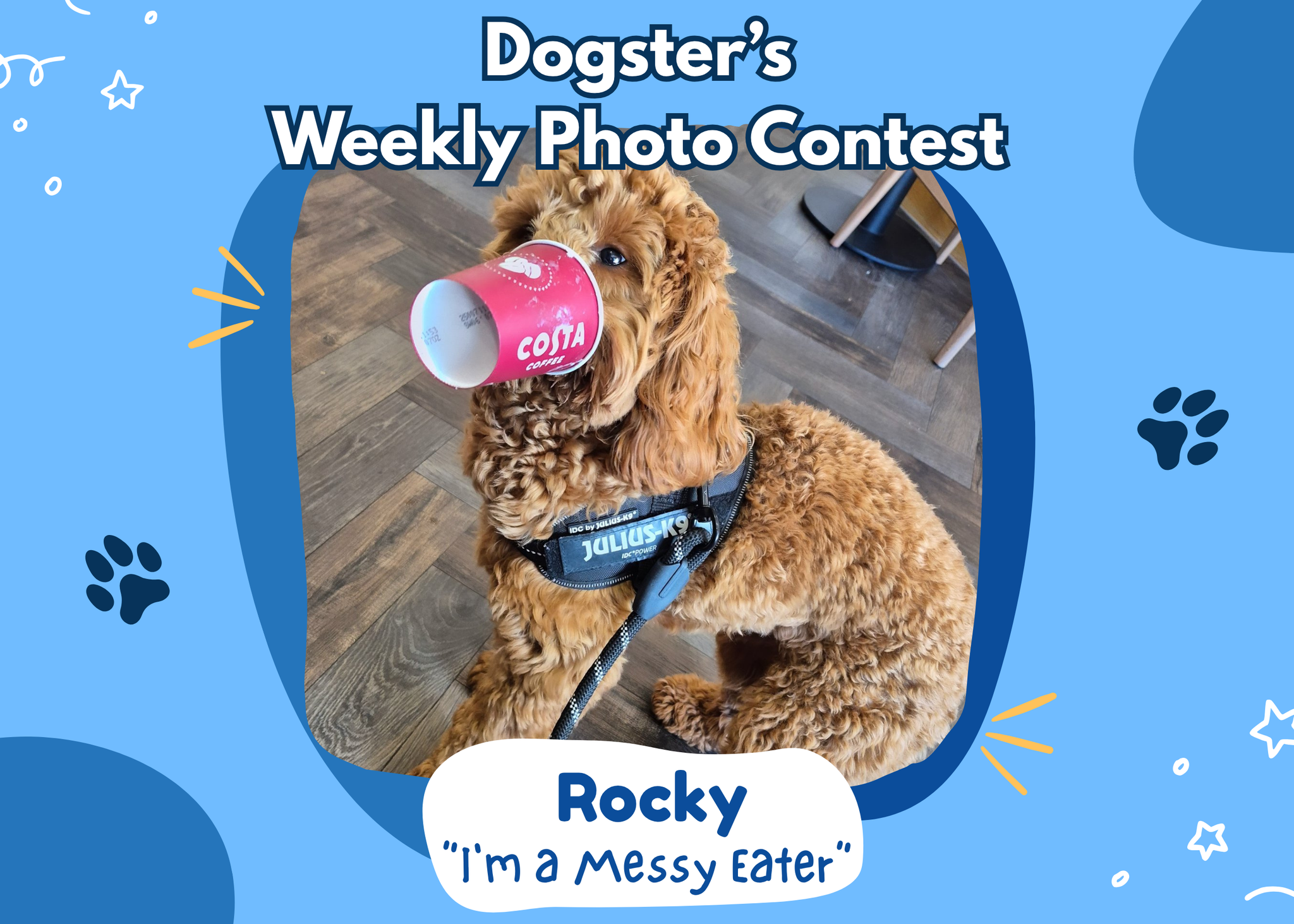 Dogster’s Weekly Photo Contest Winners: I'm a Messy Eater (March 26, 2026)