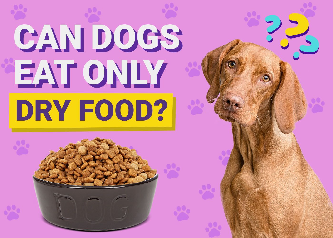 Can Dogs Eat Only Dry Food