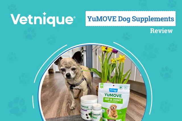 Vetnique YuMOVE Supplements Review 2026: Powerful Joint Care to Fit Your Dog’s Needs