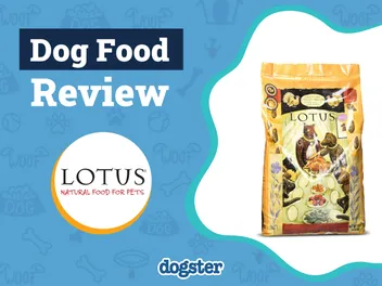 Lotus Dog Food Review 2026: Recalls, Pros & Cons