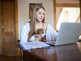 What Is Telehealth for Dogs? Vet-Verified Facts & Info
