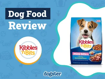 Kibbles 'n Bits Dog Food Review 2026: Recalls, Pros & Cons