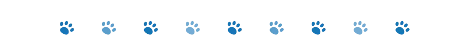 divider dog paws 2 oct 2024