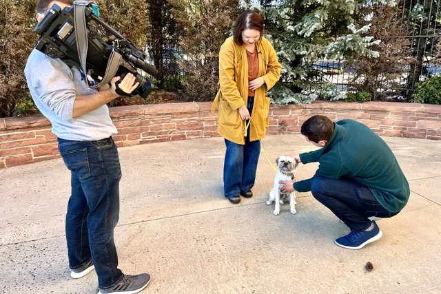 My Dog Is Cuter Than Yours: Gizmo's 15 Minutes of Fame