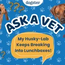 Ask Dr. Paola - My Husky-Lab Keeps Breaking Into Lunchboxes! (July 27, 2026)