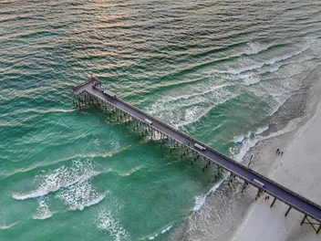 Are Dogs Allowed on Panama City Beach? Local Rules Explained