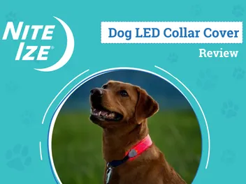 Nite Ize NiteDog® LED Collar Cover Review 2026: An Expert's Breakdown