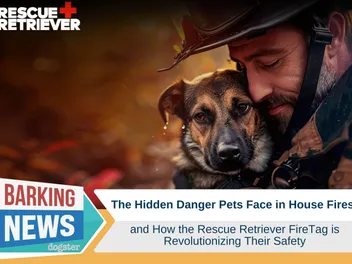 The Hidden Danger Pets Face in House Fires and How the Rescue Retriever FireTag is Revolutionizing Their Safety