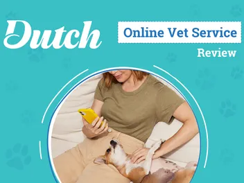 Dutch Online Veterinarian Service Review 2026: An Expert's Breakdown