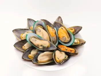 Green Lipped Mussels for Dogs: Vet-Verified Facts & FAQ