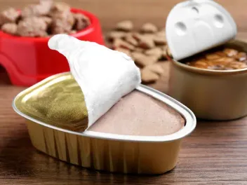 Semi-Moist, Dry & Canned Dog Food: Vet-Reviewed Pros & Cons