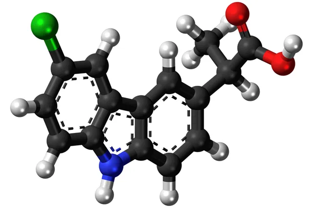 Carprofen for Dogs: Uses, Dosage, and Safety (Vet Answer)
