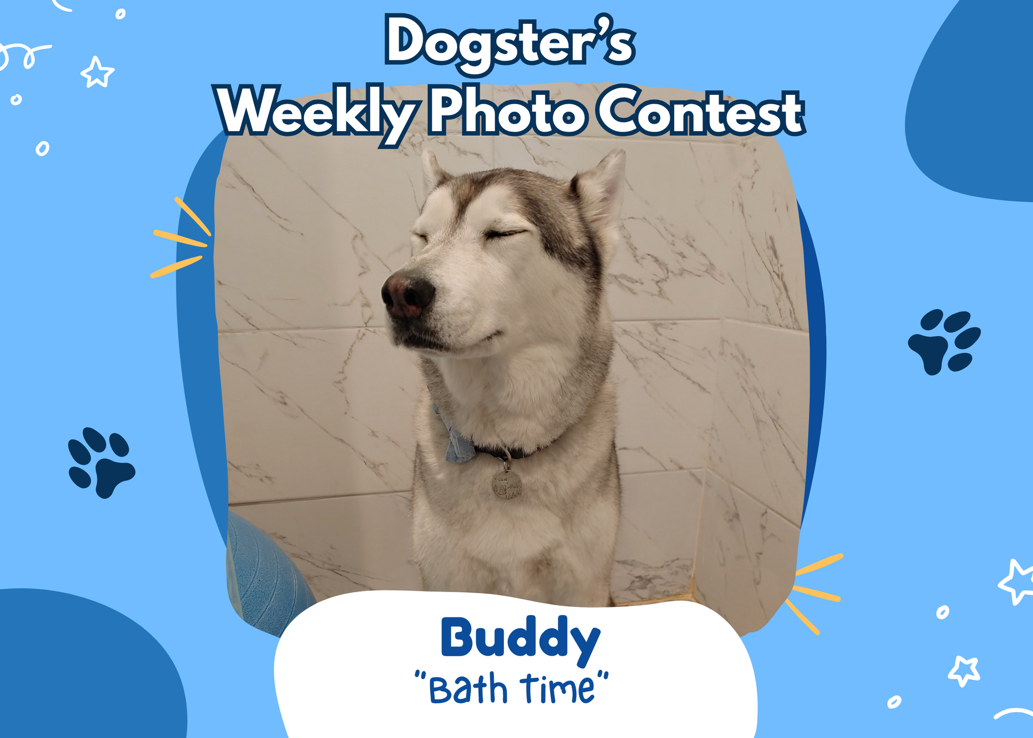 Dogster’s Weekly Photo Contest Winners: Bath Time (May 25, 2026)