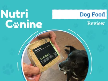 NutriCanine Dog Food Review 2026: An Expert's Breakdown