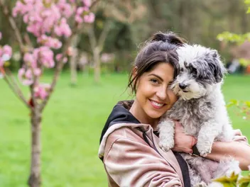 Are Havanese Affectionate and Cuddly? Temperament & Traits