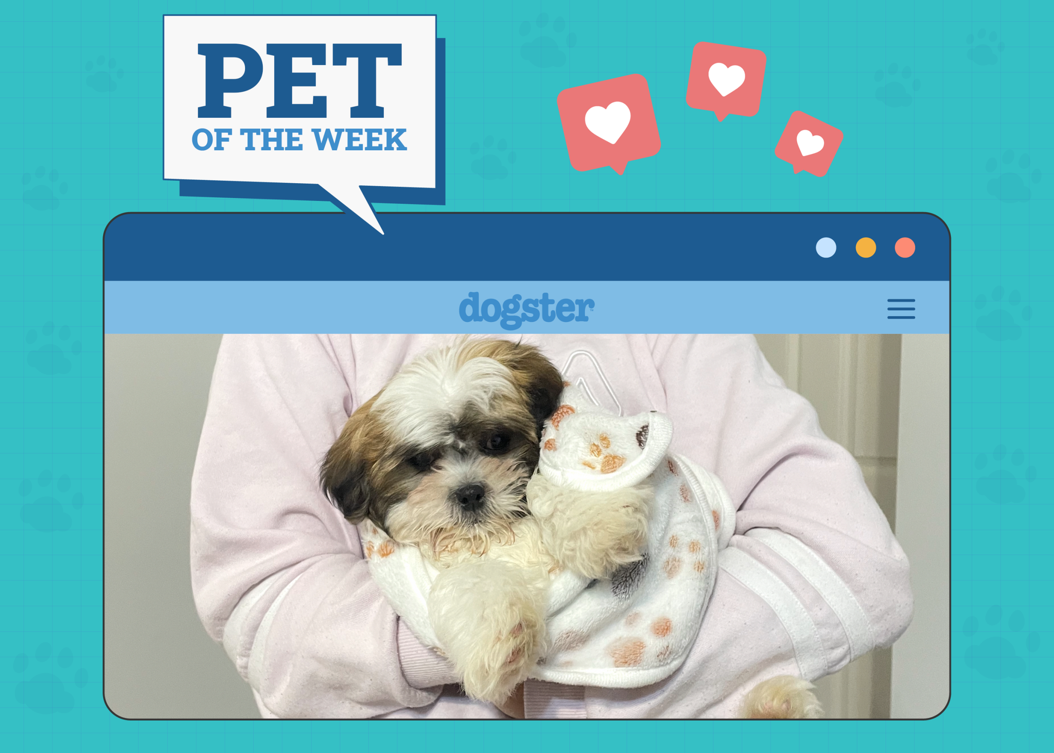 Dogster Photo Contest: Dogs of the Week Winners (October 16, 2025)