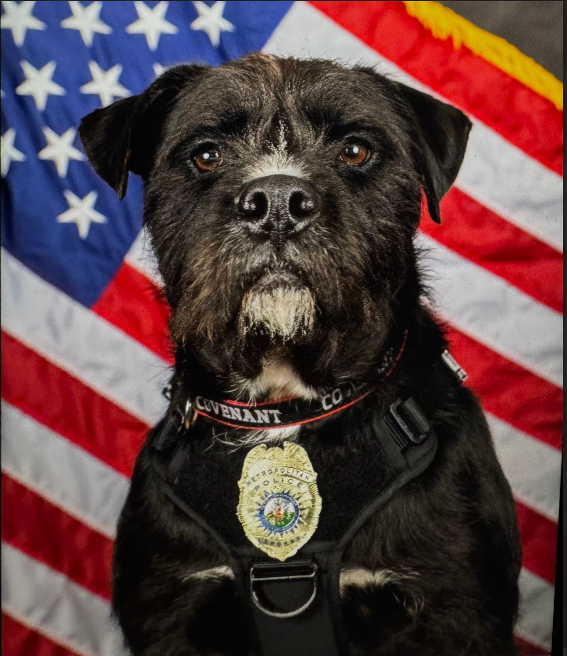 Sergeant Bo