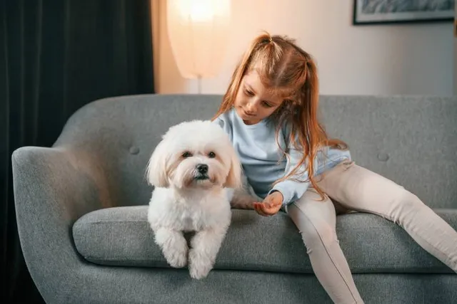 How Good Will a Maltese Be With Kids: Vet-Verified Facts & FAQ