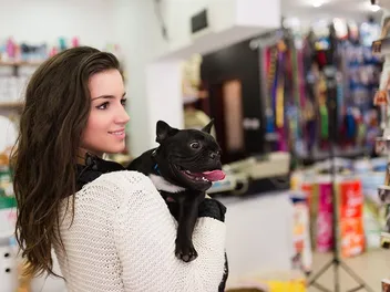 Are Dogs Allowed in Kohl’s in 2026? Pet Policy & FAQ