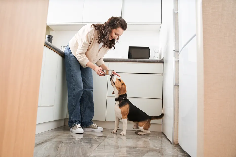 woman-feeding-her-dog
