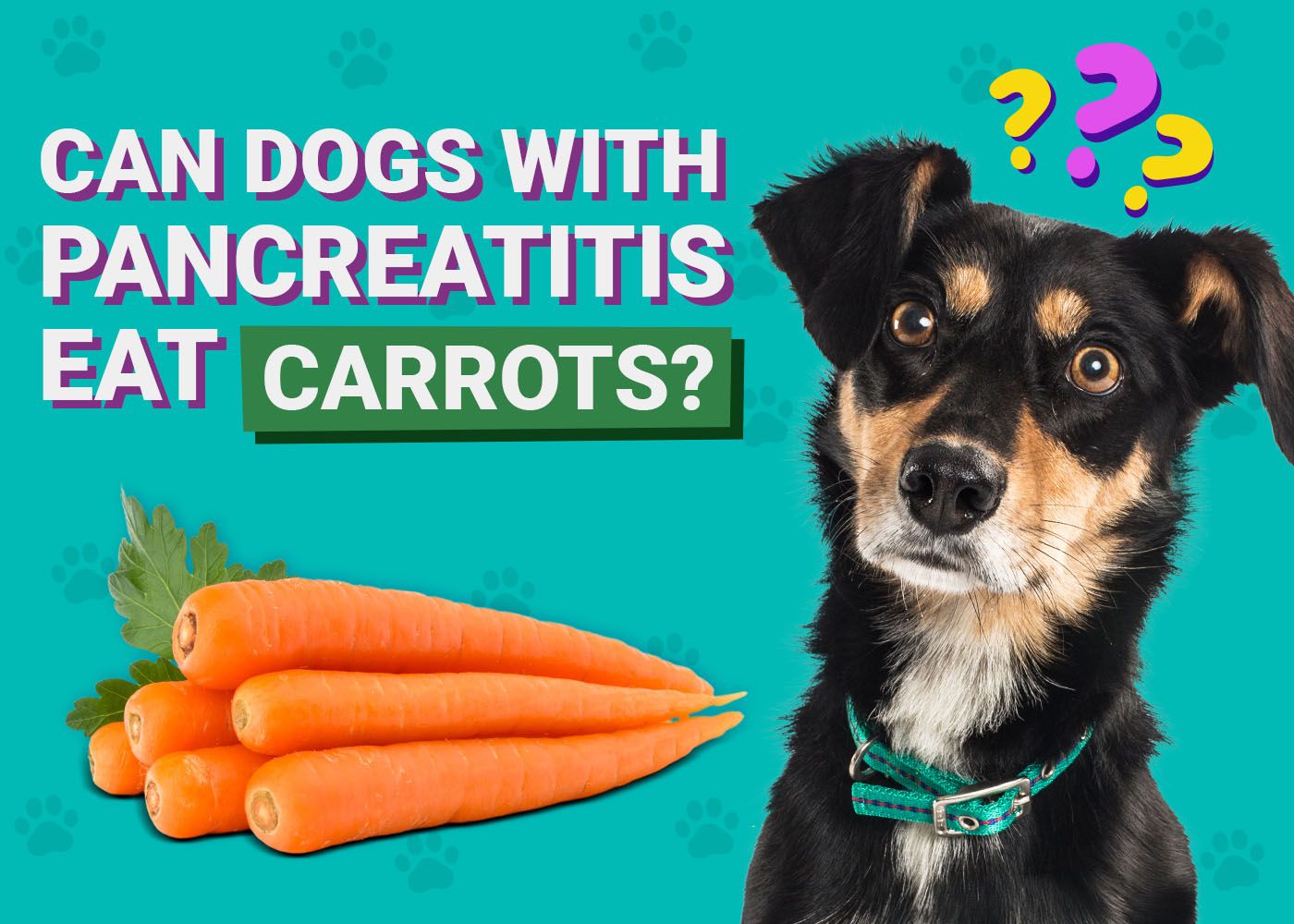 Can Dogs With Pancreatitis Eat Carrots