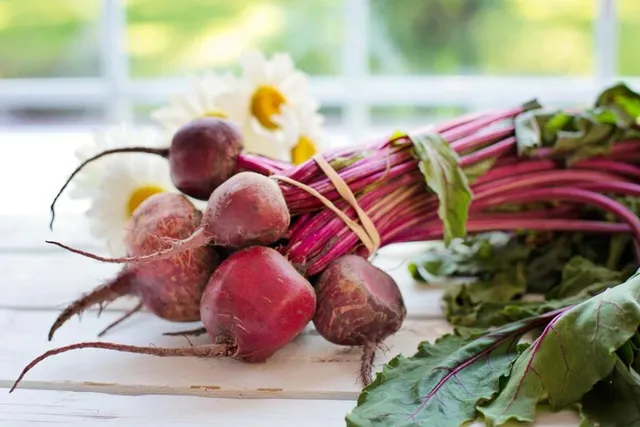 Can Dogs Have Beets? Vet-Reviewed Nutritional Facts & FAQ