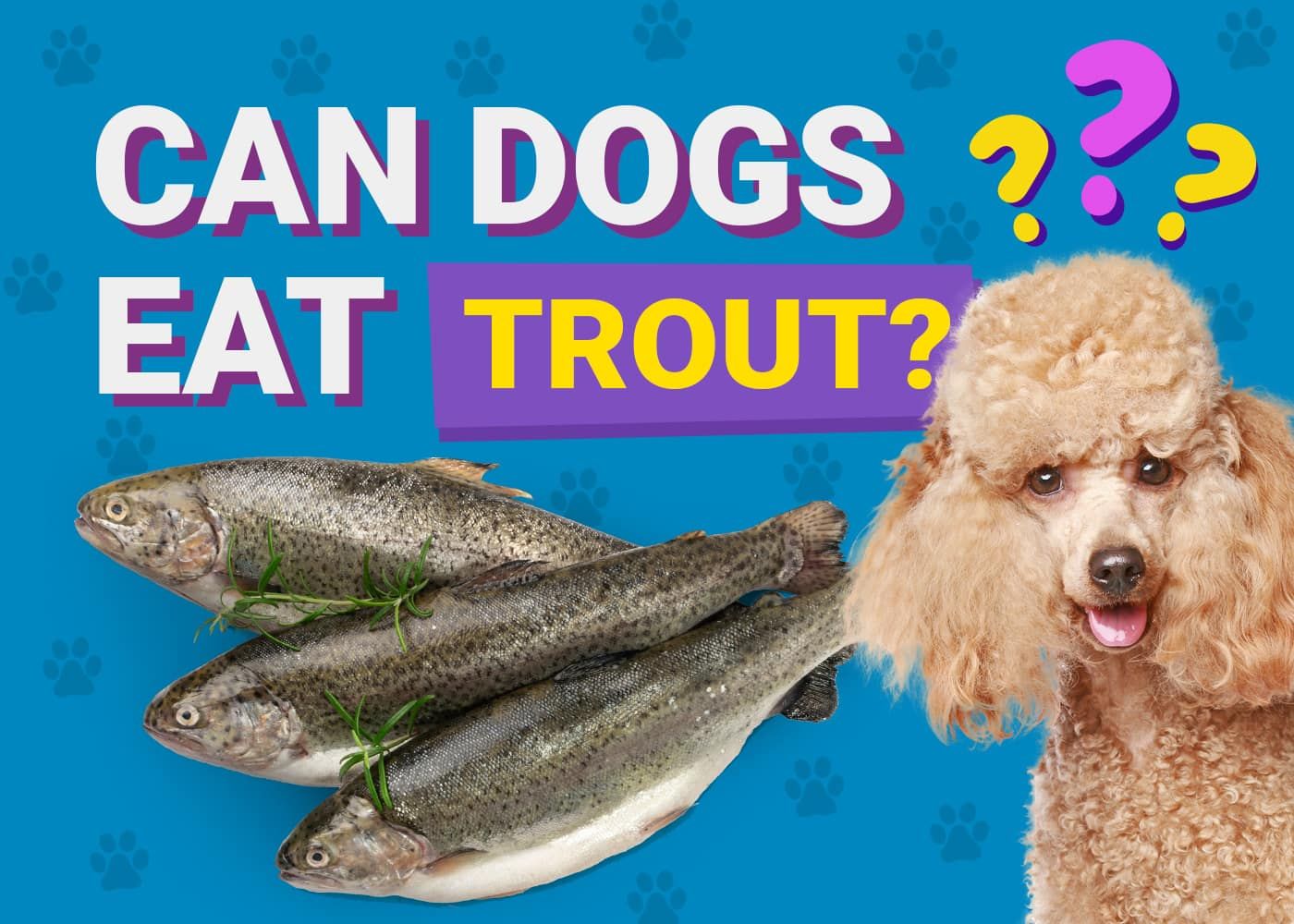 Can Dogs Eat_trout