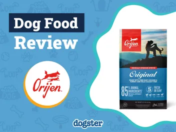 Orijen Dog Food Review 2026: Vet-Verified Pros, Cons, Recalls & FAQ