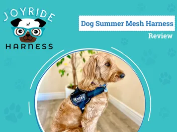 Joyride Summer Mesh Harness Review 2026: Walk Your Dog with Comfort & Control