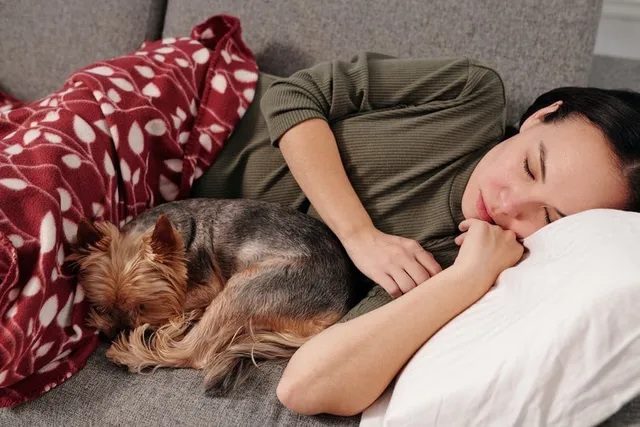 Do Dogs Like Sleeping With Their Owners? Vet-Approved Info & Facts