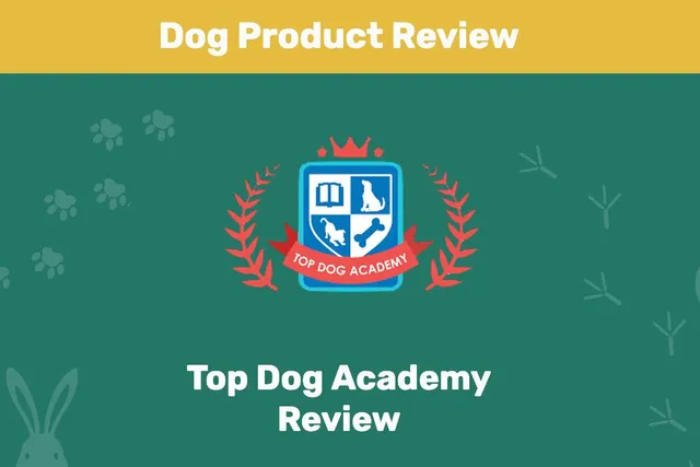 Top Dog Academy Review 2026: Our Expert’s Opinion