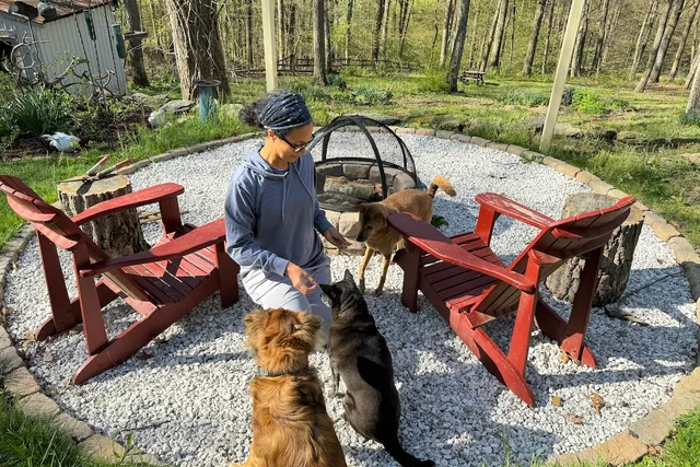 Mimicking Behaviors Among the Trio: Allison's Dogs Learn From Each Other