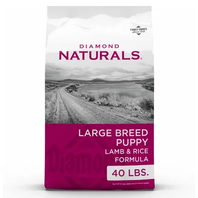Diamond Naturals Large Breed Puppy Formula Dry Food