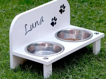 9 DIY Dog Feeders You Can Make Today (With Pictures)
