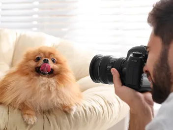 2024 & 2025 Dogster Photo Contest Winners