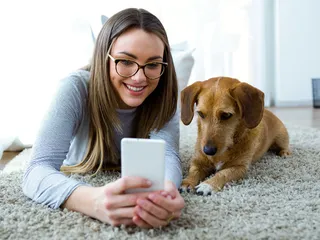 Pet Telehealth: How Does It Work? Vet-Approved Facts & FAQ