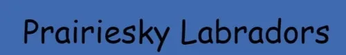 Prairiesky labradors logo