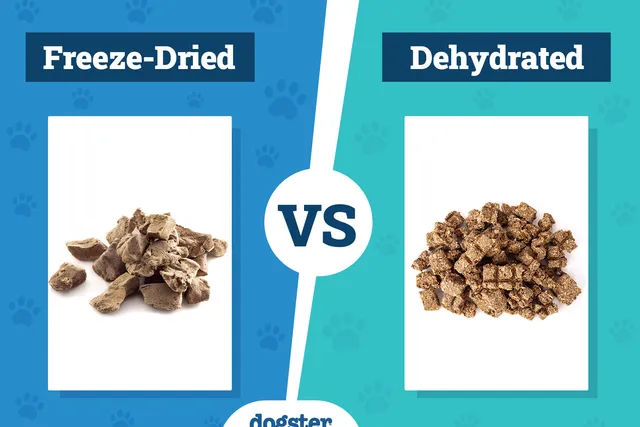 Freeze-Dried vs. Dehydrated Dog Food 2026 Comparison: Pros & Cons