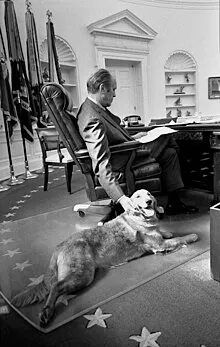 President_Ford_and_his_golden_retriever_Liberty_-_NARA_-_6829597