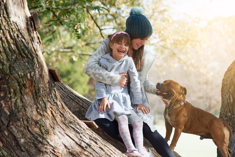 Pitbull standing by a family on the woods