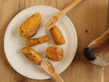 5 Benefits of Sweet Potatoes for Dogs: Vet-Reviewed Facts & Considerations