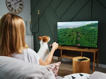 Do Dogs Like to Watch TV? Vet-Approved Facts & FAQ