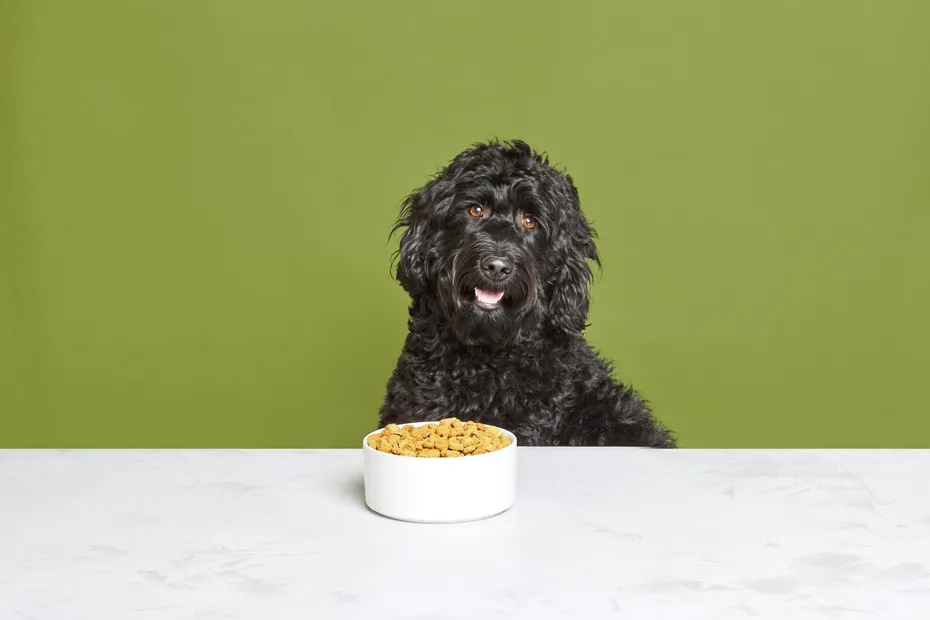 Better Than Kibble and Just as Easy to Feed THK_Dog-Clusters_Birdhill-008